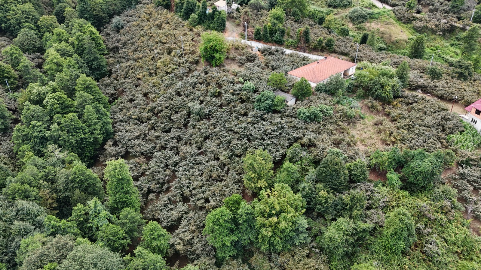 MABEL GAYRİMENKUL/ VAKFIKEBİR/ KÖREZ MAH 2.774 m2 MÜSTAKİL ARSA